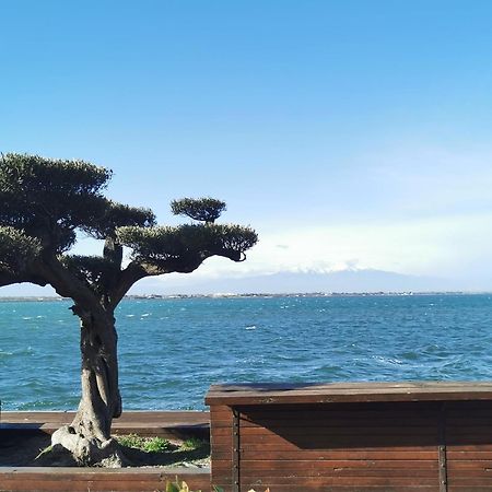Appartement Cosy Sur La Presqu'Ile De Cap Coudalere Avec Piscine Ouverte Et Chauffee Le Barcarès エクステリア 写真