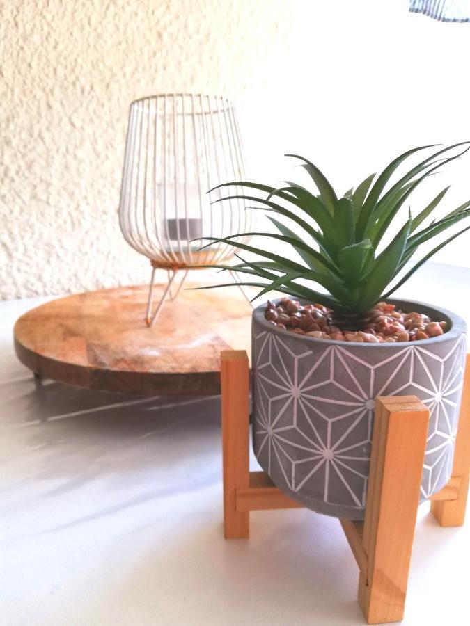 Appartement Cosy Sur La Presqu'Ile De Cap Coudalere Avec Piscine Ouverte Et Chauffee Le Barcarès エクステリア 写真
